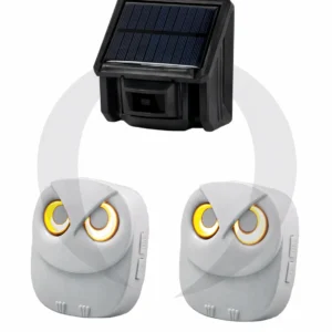 Oehoe vogelhuisje met 1 sensor, twee ontvangers