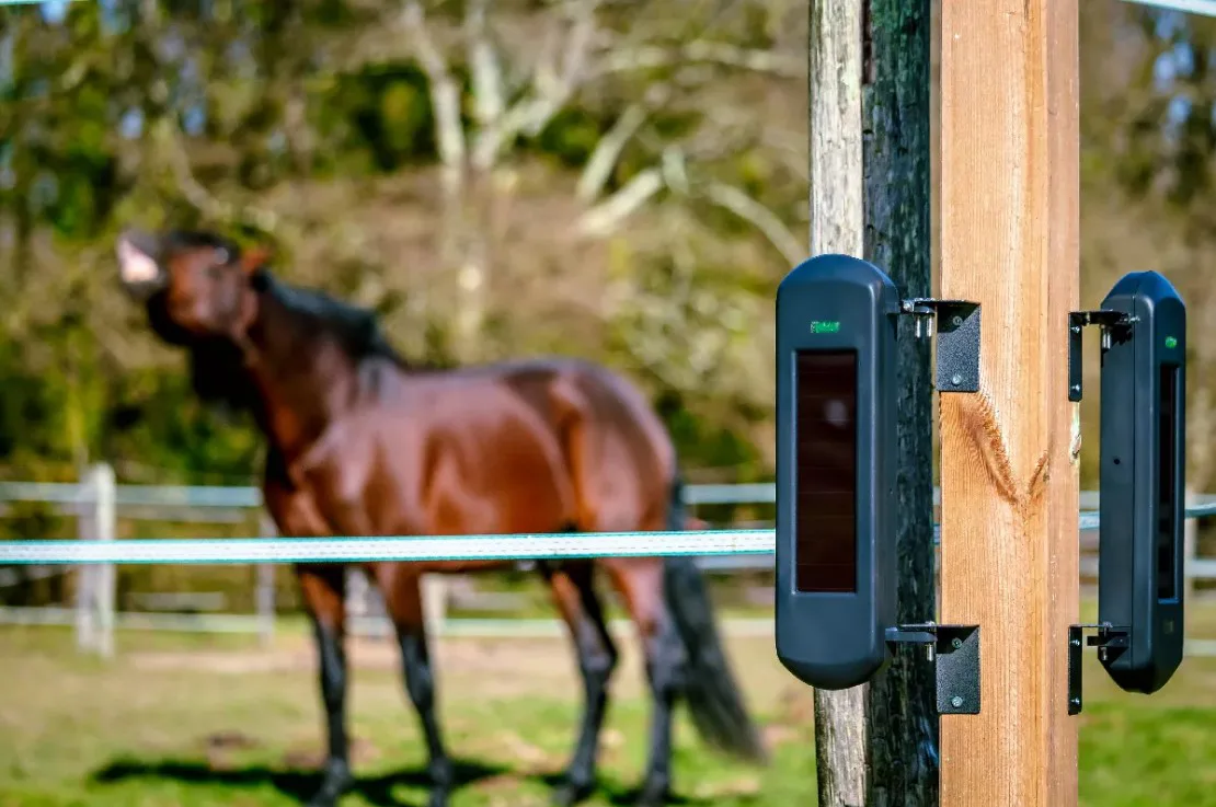 Solar beam hoek met paard